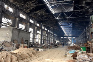 王军市长亲临一线，推动岷山厂搬迁与公园建设工作高效落实